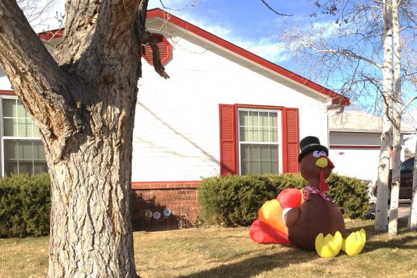 Image of a big inflatable turkey on someone's lawn infront of a white house